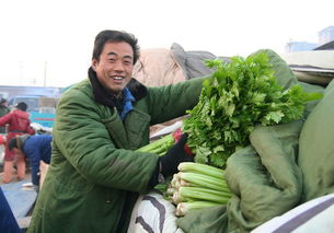我國食用農(nóng)產(chǎn)品價(jià)格呈現(xiàn)小幅上漲態(tài)勢(shì)